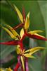 Jardin Botanico (39)